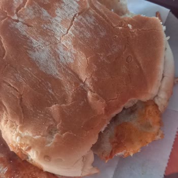 Küflü Hamburger Ekmeği Nedeniyle Sağlık Riski
