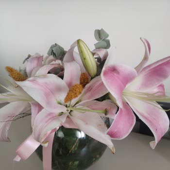 Kararmış Çiçekler İçin İade Ve Değişim Reddedildi