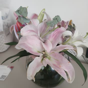 Kararmış Çiçekler İçin İade Ve Değişim Reddedildi