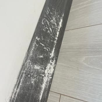 Ev Temizliği Sonrası Yaşanan Sorunlar Ve İletişim Eksikliği