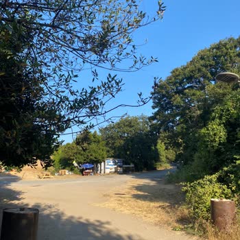 Sofular Mesire Alanında Yüksek Giriş Ücreti Ve Bakımsızlık Şaşkınlığı