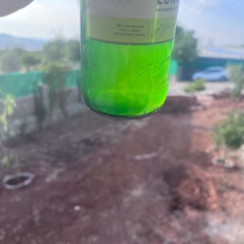 Carslberg Luna Biralarda Beyaz Tortu Ve Parçacık Sorunu