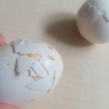 Yamalanmış Ve Hasarlı Yumurtalar Sağlığımızı Tehdit Ediyor