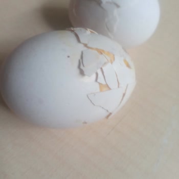 Yamalanmış Ve Hasarlı Yumurtalar Sağlığımızı Tehdit Ediyor