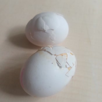 Yamalanmış Ve Hasarlı Yumurtalar Sağlığımızı Tehdit Ediyor