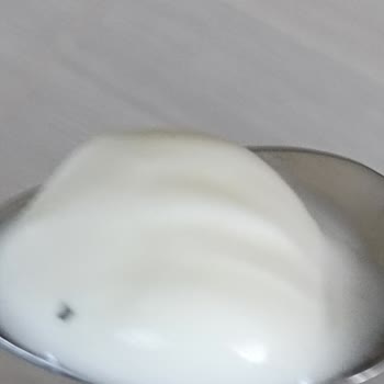 Aldığım Dondurmanın İçinden Sinek Çıktı