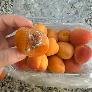 Migros Sanal Marketten Gelen Meyveler Defalarca Özensiz Teslim Edildi