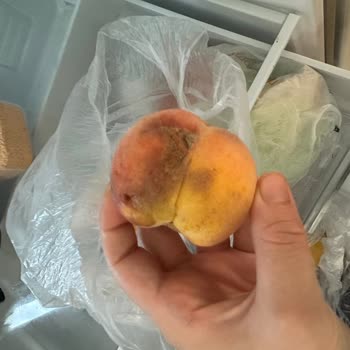 Migros Sanal Marketten Gelen Meyveler Defalarca Özensiz Teslim Edildi