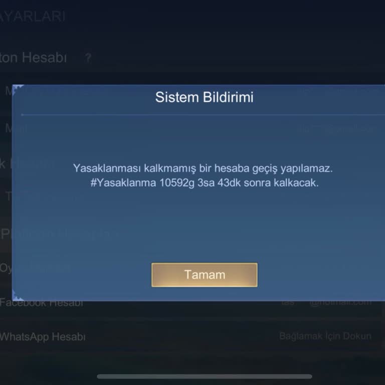 Çalınan Hesabımı Geri Aldım, Uzun Süreli Yasaklama Sorunu Yaşıyorum