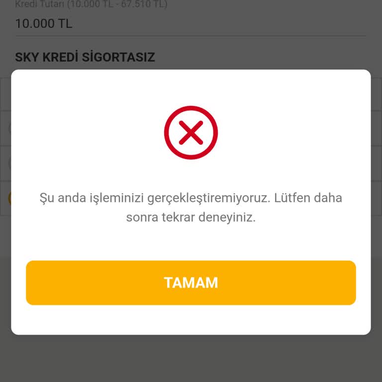Sky Limit Tanımlı Olmasına Rağmen Kredi Kullanımına İzin Verilmiyor