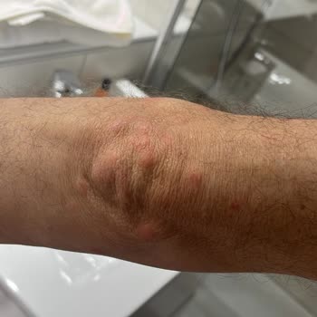 Tatil Sepeti İle Katıldığımız Turda Rehber Ve Otel Sorunları