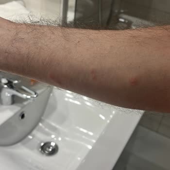 Tatil Sepeti İle Katıldığımız Turda Rehber Ve Otel Sorunları