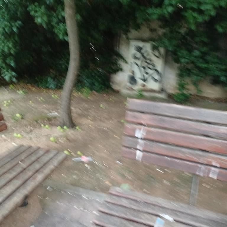 Bitçi Token Yatırımında Büyük Kayıp Ve Güven Sorunu