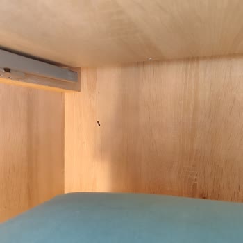 Otel Sorunlarına Çözüm Yerine Gecikmeli Ve Yetersiz Geri Dönüş