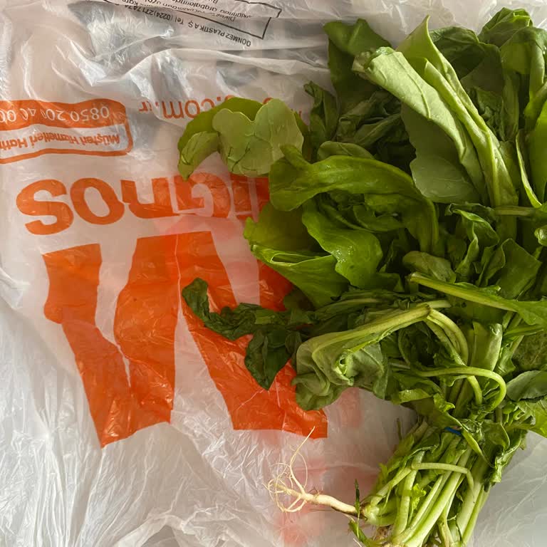 Siparişimde Gönderilen Çürük Roka Ve Sürekli Taze Ürün Sorunu