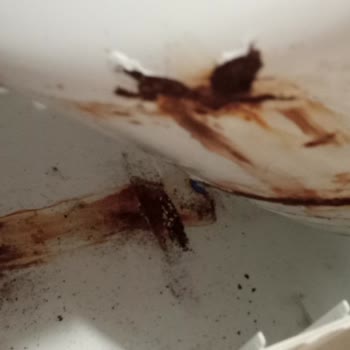 Aura Cebilon Garanti Süresi Hakkında Bilgilendirme Eksikliği Ve Su Tankı Değişimi Talebi