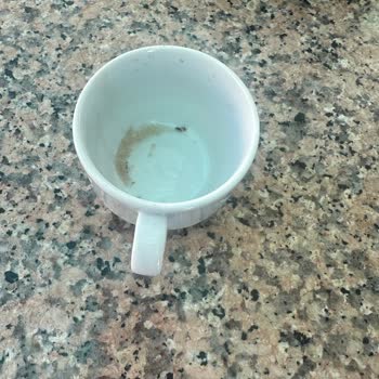 Tatilbudur.com Üzerinden Yaptığım Rezervasyonlarda Yaşadığım Hijyen Ve Hizmet Sorunları