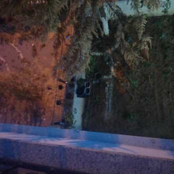 Alt Kat Kiracısının Yeşil Alanı Kendi Kullanımına Kapattı