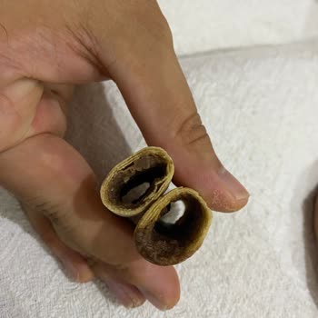 Lezzetli Ürün, Eksik Dolum Hayal Kırıklığı