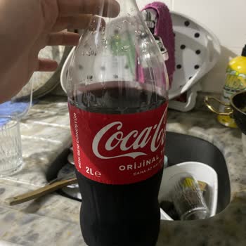 Coca-Cola Şişesinden Böcek Çıkması Hayal Kırıklığı Yarattı