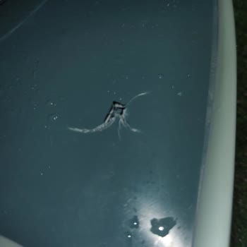 Decathlon’dan Alınan Palet İlk Kullanımda Yırtıldı