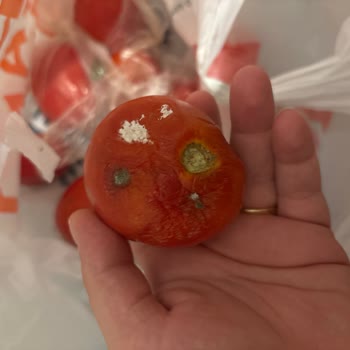 Çürük Domates Ve Eksik Ürün, Müşteri Hizmetleri Tamamen İlgisiz