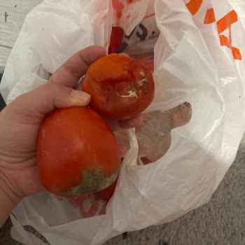 Çürük Domates Ve Eksik Ürün, Müşteri Hizmetleri Tamamen İlgisiz