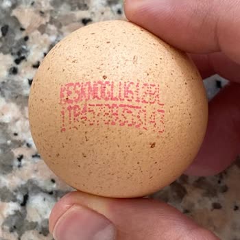 Aldığım Yumurtaların Çoğu Bozuk Ve Ağır Çürük Kokulu Çıktı