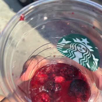 İçeceğimden Kurt Çıkmasıyla Yaşadığım Hijyen Şoku Ve Hayal Kırıklığı