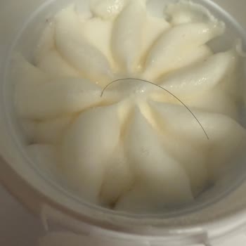 Atatürk Orman Çiftliği Dondurma Ambalajında Yabancı Madde İle Karşılaşılması
