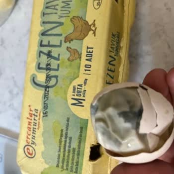A101'den Aldığım Yumurtadan Kötü Koku Ve Siyah Madde Çıktı!
