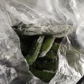 Bosch Buzdolabında Çözülmeyen Arızalar ve Sürekli Mağduriyet