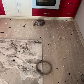 Schafer Düdüklü Tencere Patladı, Evde Büyük Tehlike Yaşadım