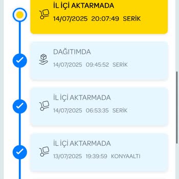 Kargo Seçimi Ve Teslimat Sürecinde Yaşanan Sorunlar Müşteri Memnuniyetini Olumsuz Etkiledi