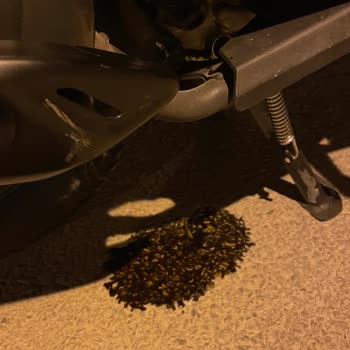 Honda Konşuk Servisinde Eksik Ve Hatalı Bakım Deneyimi