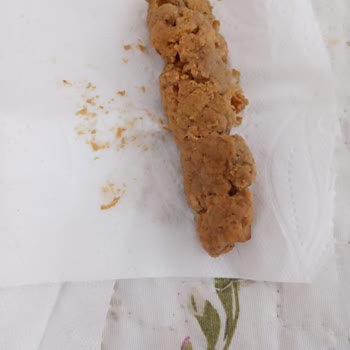 Trendyol Üzerinden Aldığım Sahte Mama Kedimin Sağlığını Tehlikeye Attı