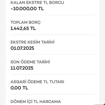 Kullanılmayan Hesaba Ekstre Borcu Yansıtılması