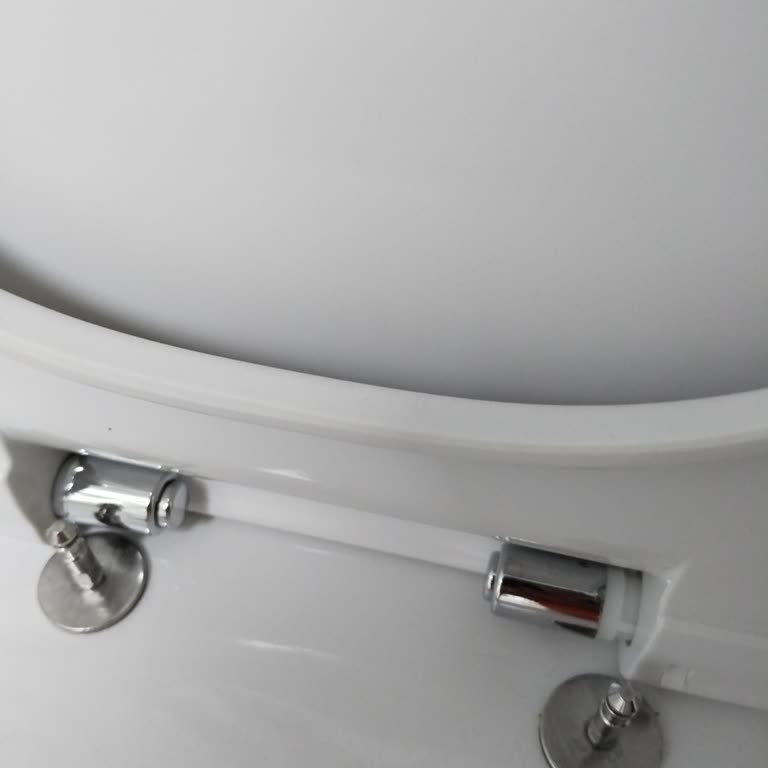 Klozet Kapağı Menteşe Arızası Nedeniyle Yavaş Kapanma Özelliği Bozuldu