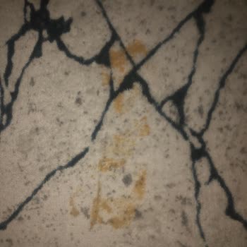 Kırık Yumurta Teslimatı Halımı Mahvetti, Destek Yetersiz Kaldı