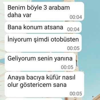 Yanlış Yerde İndirilen Yolcuya Küfürlü Mesaj Gönderilmesi