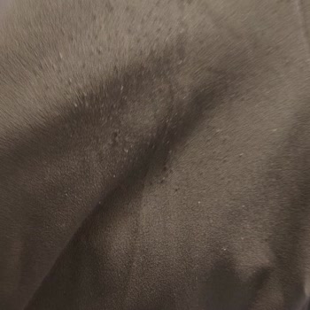 Açelya Trend Yeni Alınan Takım Kısa Sürede Tüylendi, Mağaza İlgisiz Kaldı