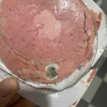 Aldığım Ürünün Son Kullanma Tarihine Rağmen Küflenmiş Çıkması Şaşırttı