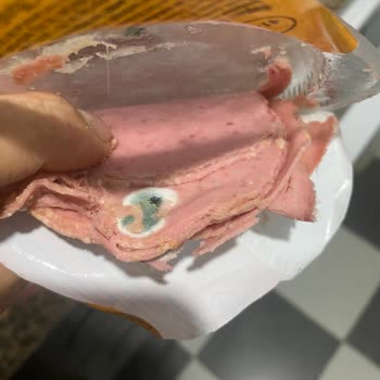 Aldığım Ürünün Son Kullanma Tarihine Rağmen Küflenmiş Çıkması Şaşırttı