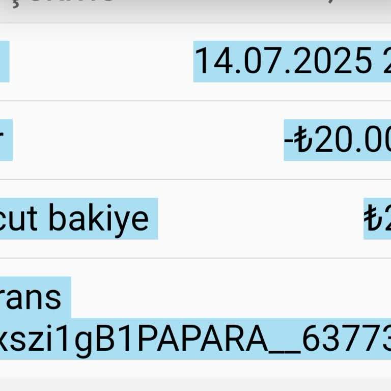 Papara İle Yapılan Para Transferi Hesabıma Yansımadı