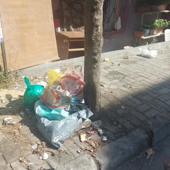 Bağcılar Belediyesi Barbaros Mahallesi'nde Temizlik Sorunu Ve İlgisizlik