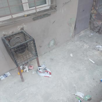 Bağcılar Belediyesi Barbaros Mahallesi'nde Temizlik Sorunu Ve İlgisizlik