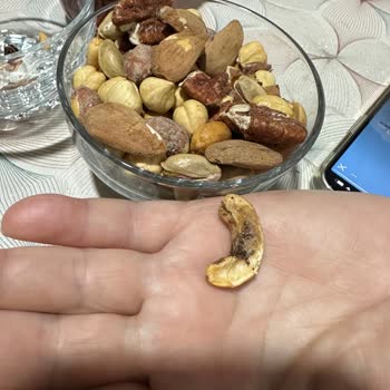 Menzil Kuruyemiş Bayat Ve Güvelenmiş Ürün