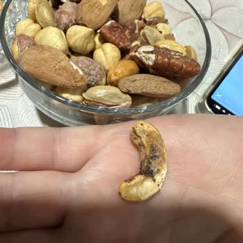 Menzil Kuruyemiş Bayat Ve Güvelenmiş Ürün