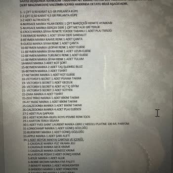 Kaybolan Valizime Duyarsız Kalan Pegasus Ve Yer Hizmetleri