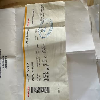 Kaybolan Valizime Duyarsız Kalan Pegasus Ve Yer Hizmetleri